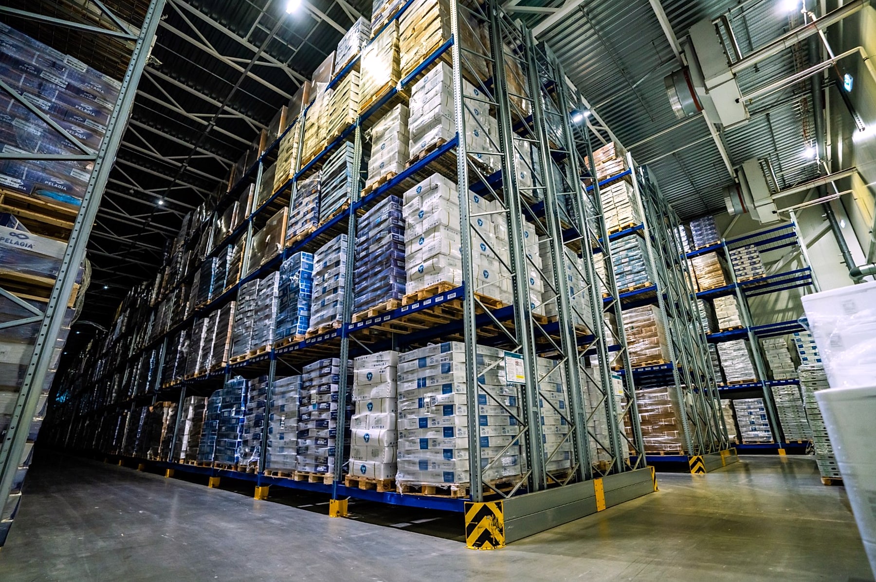 Cold chain warehouse racks with palletized seafood cargo
